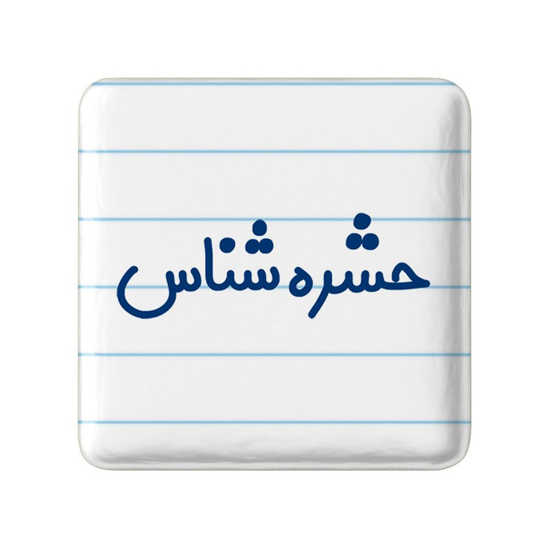 مگنت خندالو مدل حشره شناس کد 7901