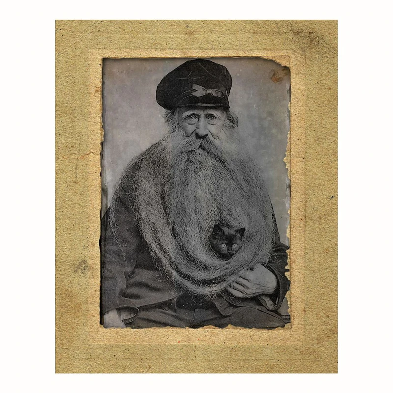 پوستر مدل چاپ رترو هنر پرتره با تصویر گربه در ریش 