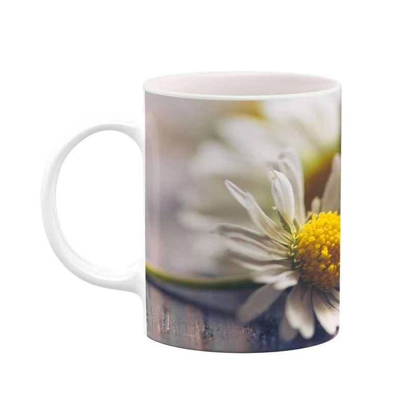 ماگ کاکتی مدل گل کد mgh16575