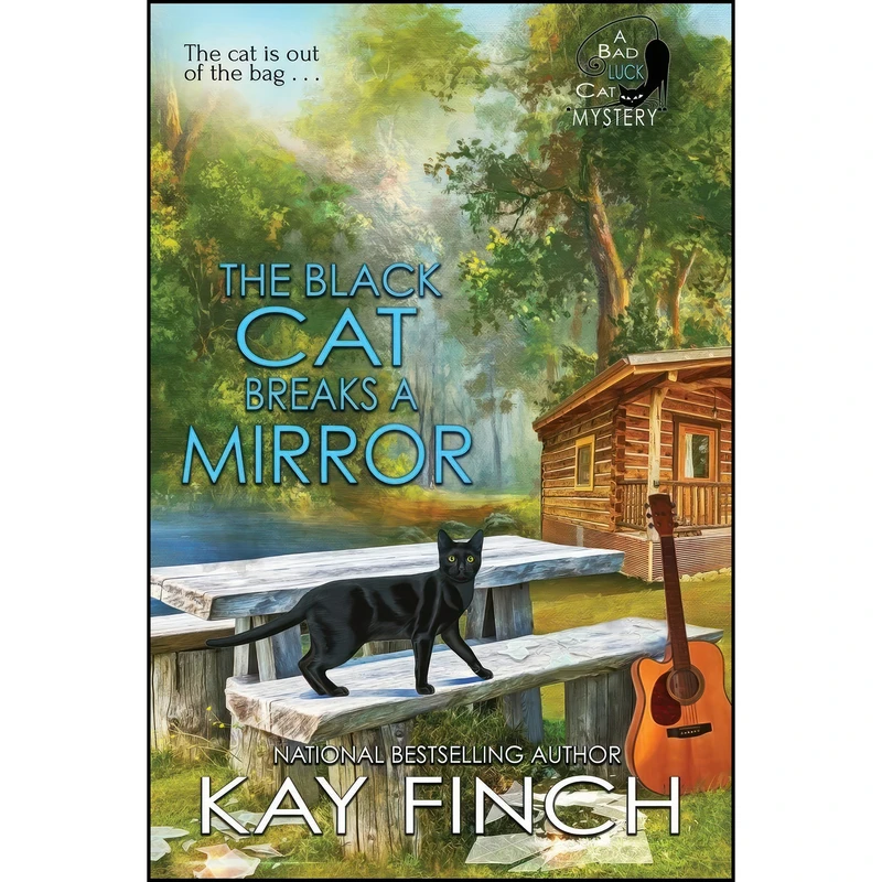 کتاب The Black Cat Breaks a Mirror  اثر Kay Finch انتشارات تازه ها