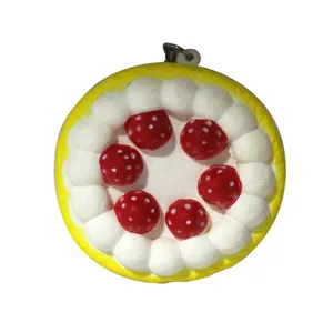 اسکوییشی مدل کیک کد 2