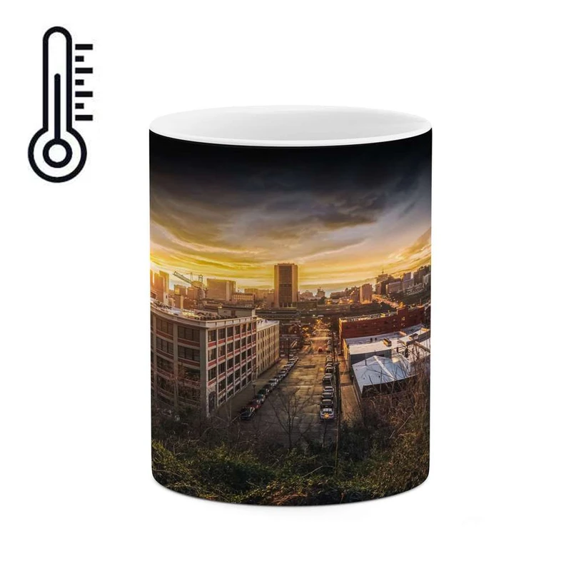 ماگ حرارتی کاکتی مدل منظره کد mgh16199