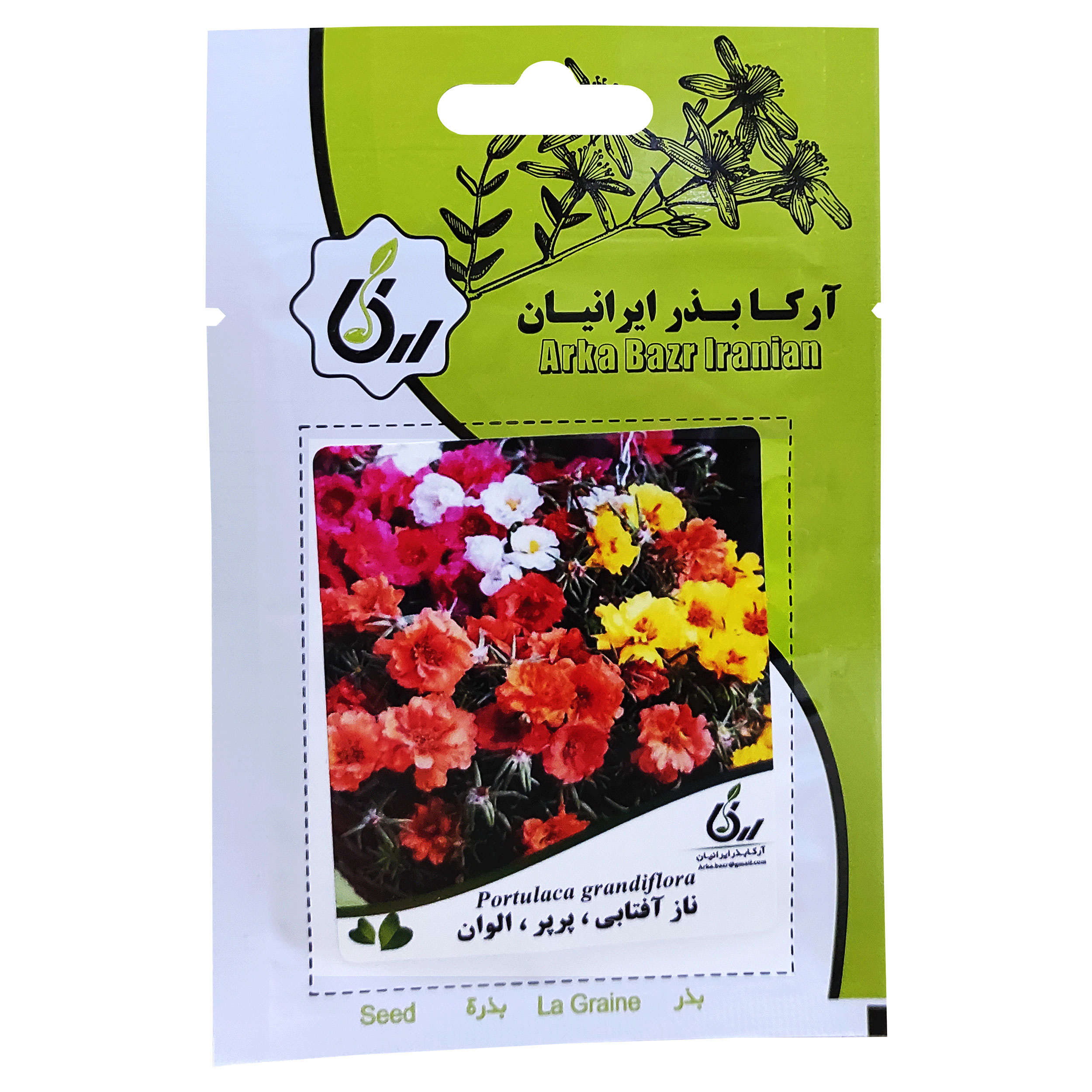 بذر گل ناز آفتابی پرپر الوان آرکا بذر ایرانیان کد ARK-069