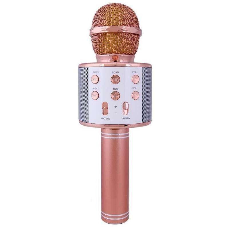 میکروفون اسپیکر مدل EF 858