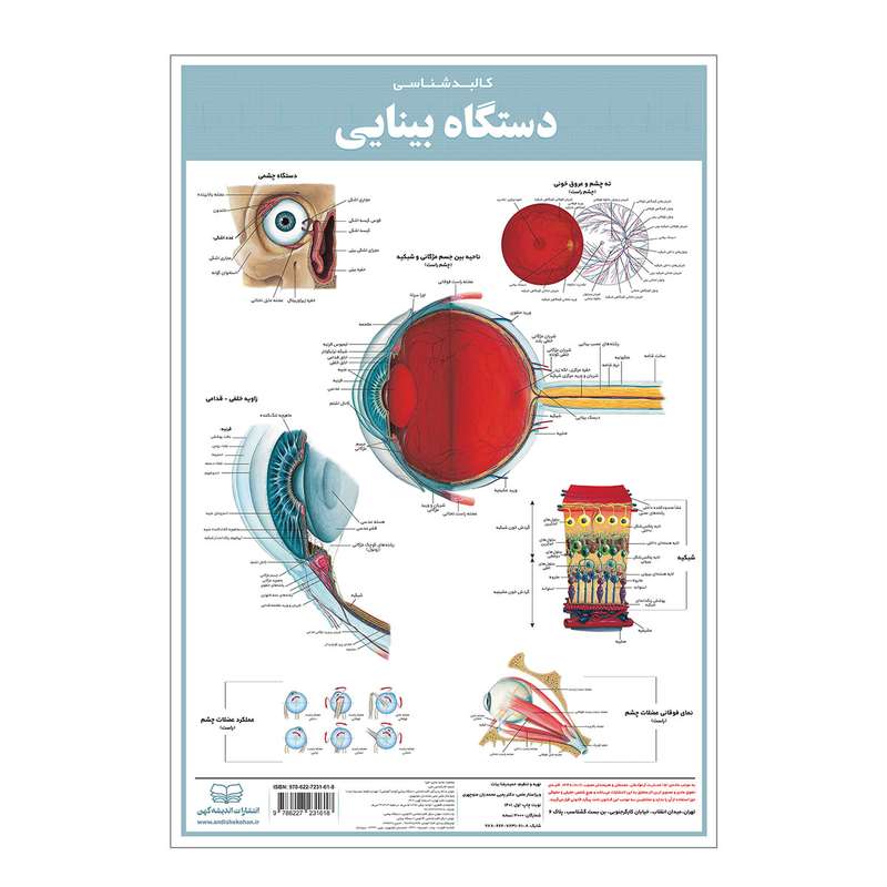 پوستر آموزشی انتشارات اندیشه کهن مدل کالبدشناسی دستگاه بینایی کد 35-50