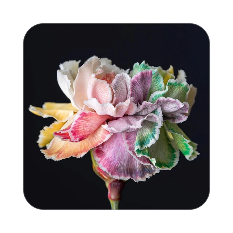 زیر لیوانی کاکتی طرح گل مدل mp16156