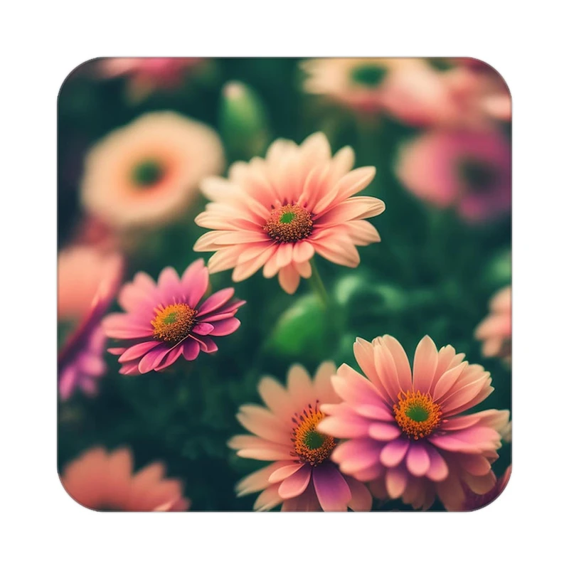 زیر لیوانی کاکتی طرح گل مدل mp18376