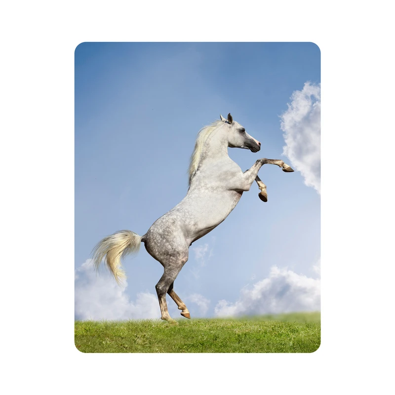 ماوس پد اطلس آبی طرح  اسب و آسمان  مدل T5833