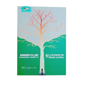 کتاب مجموعه ای بی انتها اثر زینب سیروس گیلوان نشر خیابان