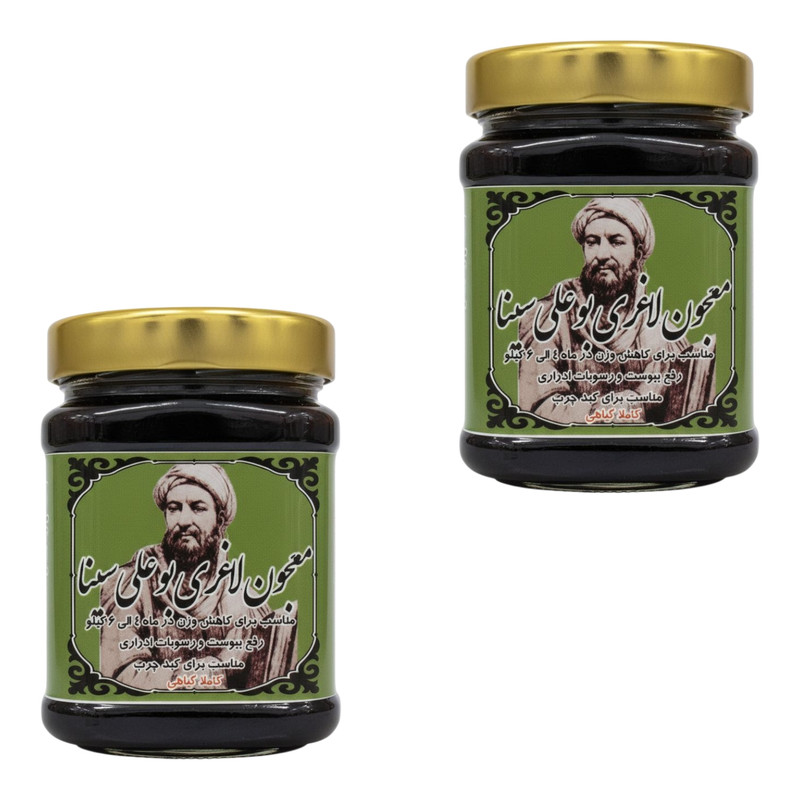 معجون لاغری بوعلی سینا - 500 گرم بسته دو عددی