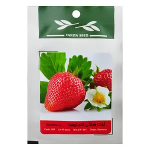 بذر توت فرنگی کاماروسا وانیا سید مدل H25