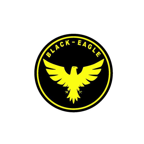 برچسب بدنه خودرو طرح black eagle کد 10781 