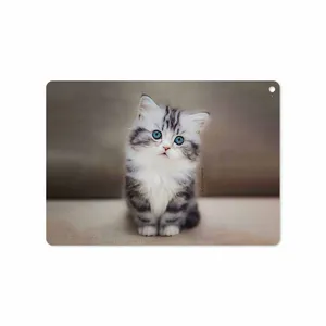 MAHOOT Cat-2 Cover Sticker for Apple iPad Air 2 2014 A1567