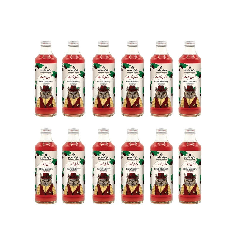 نوشیدنی شاهتوت بدون گاز حقیقت دادجو - 330 میلی لیتر بسته 12 عددی