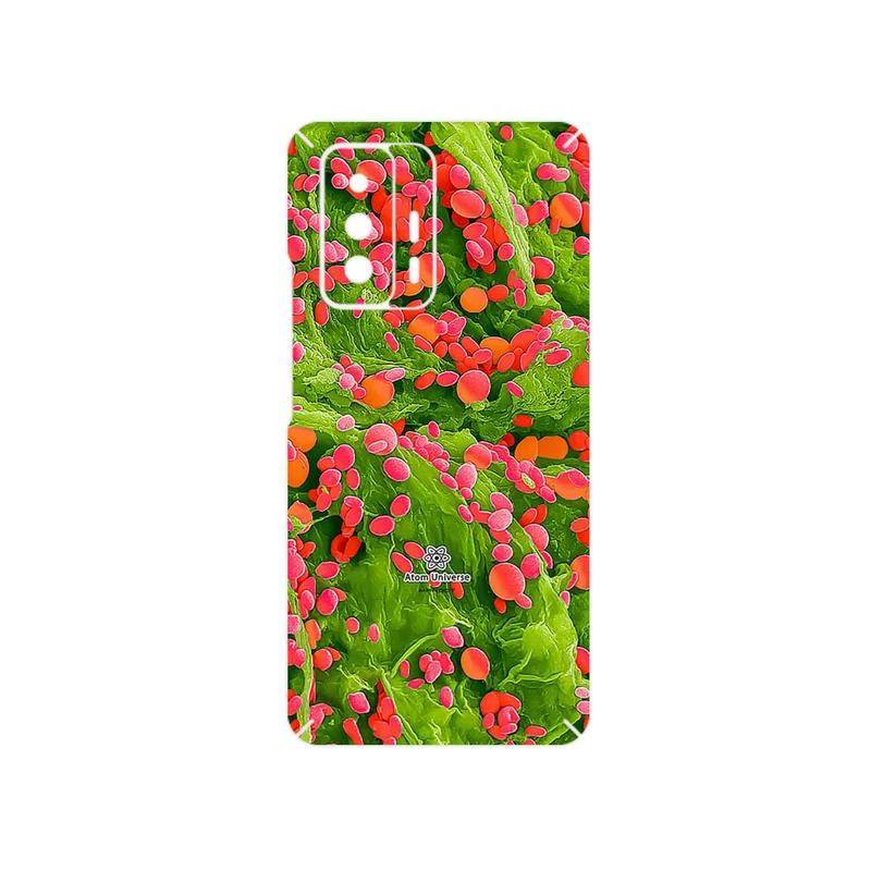 برچسب پوششی ماهوت مدل Atom Universe 3 مناسب برای گوشی موبایل شیائومی 11T 5G