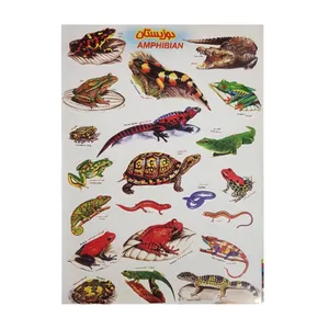 برچسب مدل دوزیستان کد BDO1