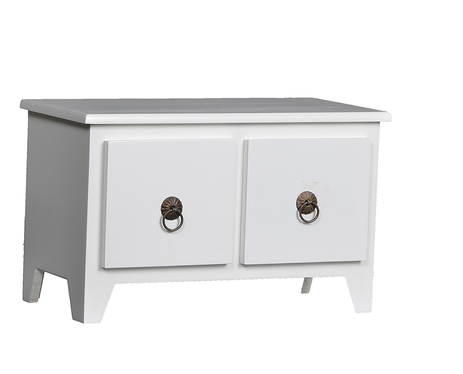 ارگانایزر مدل زحل Larisa