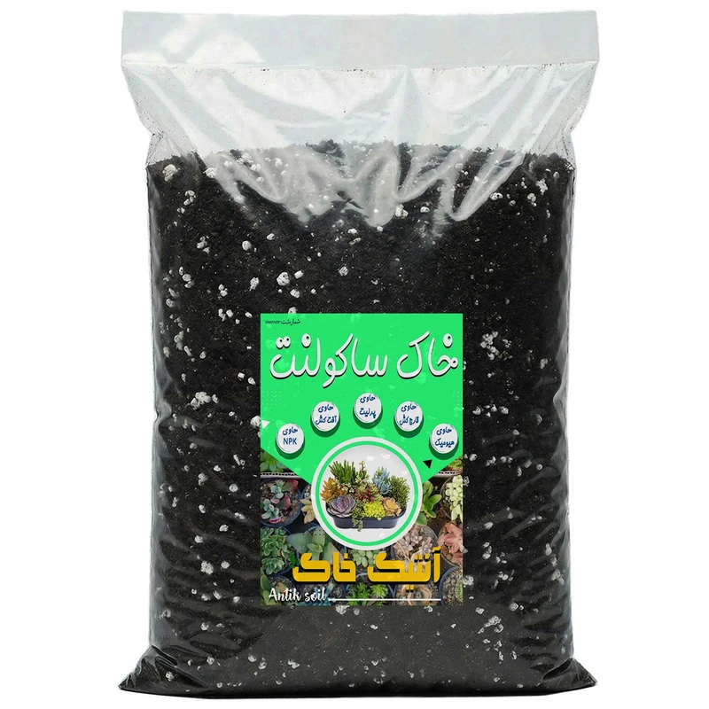 خاک ساکولنت آنتیک خاک مدل 10LR وزن 5 کیلوگرم