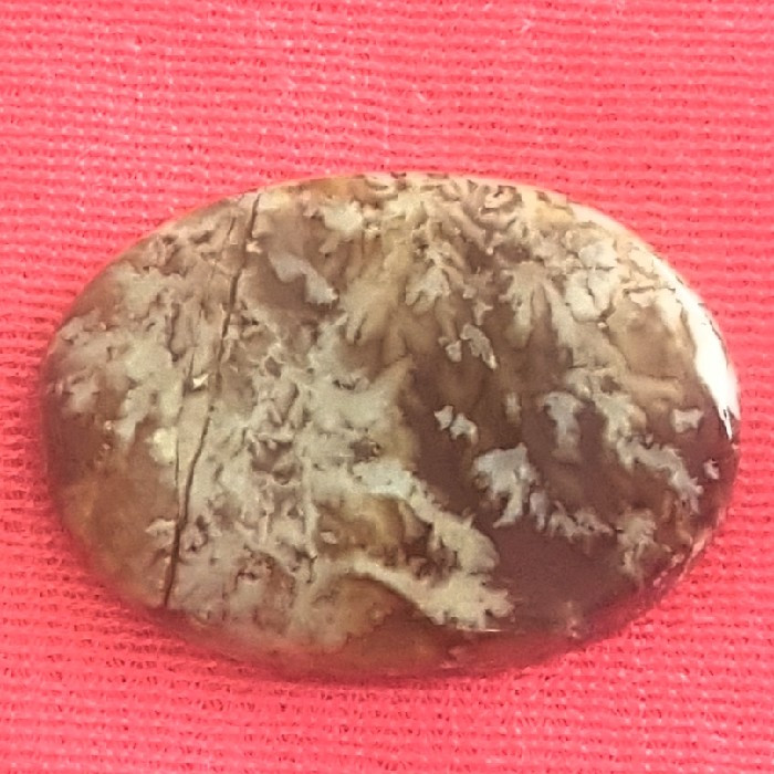 سنگ عقیق شجر کد P800