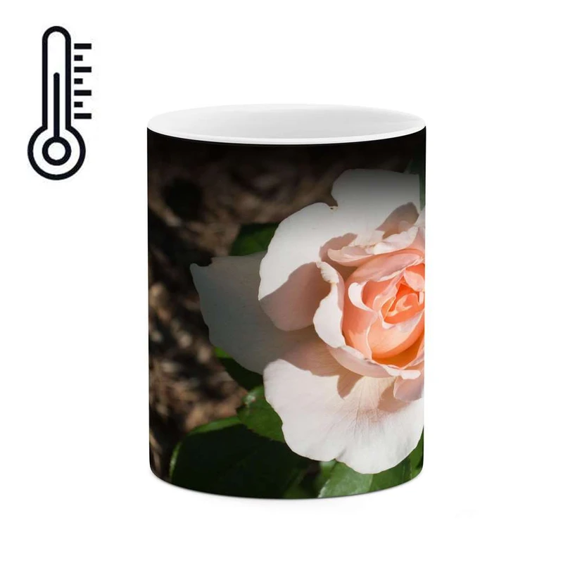 ماگ حرارتی کاکتی مدل گل کد mgh14186