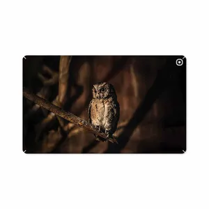 MAHOOT Owl Cover Sticker for Samsung Galaxy Tab A 10.1 2019 T515