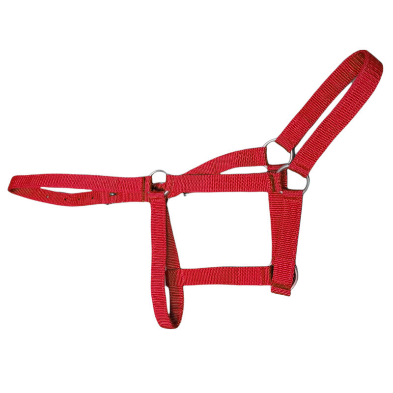کله گیر اسب کد L01 به همراه طناب
