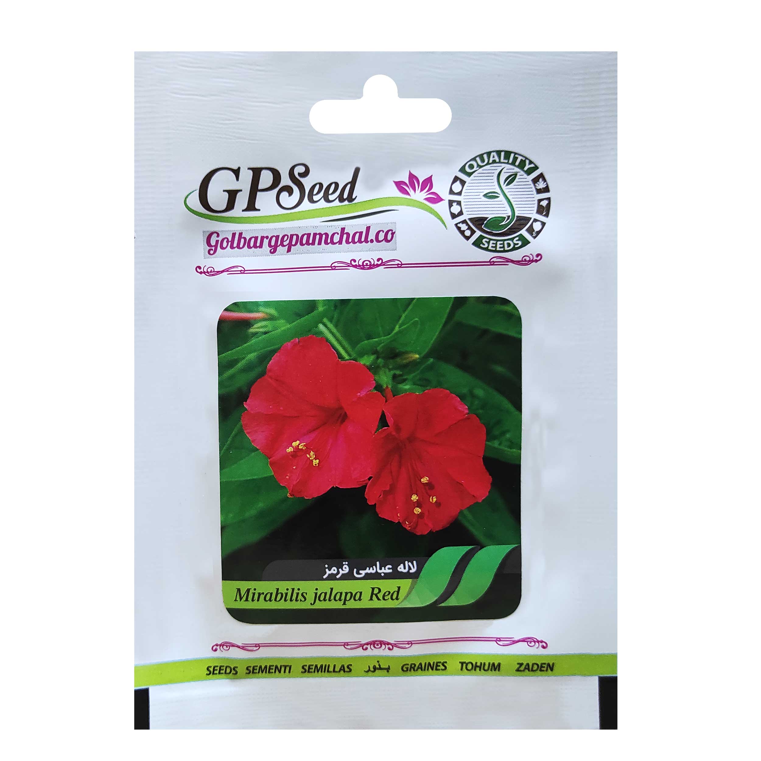 بذر گل لاله عباسی قرمز گلبرگ پامچال کد GPF-268