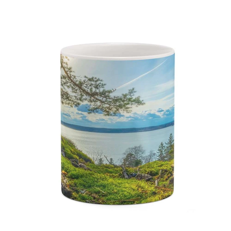 ماگ کاکتی مدل منظره کد mgh18242