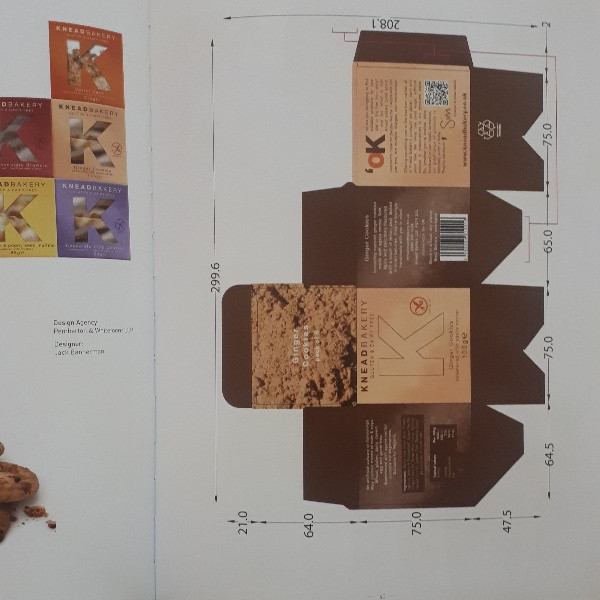 كتاب Structural Packaging Art اثر Xia Jiajia انتشارات Artpower International