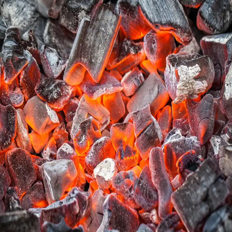 زغال کبابی جالب مدل خانواده وزن 1250 گرم