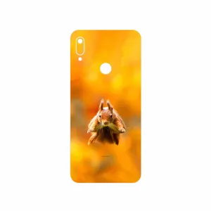 MAHOOT Squirrel Cover Sticker for Huawei Y6 Prime 2019