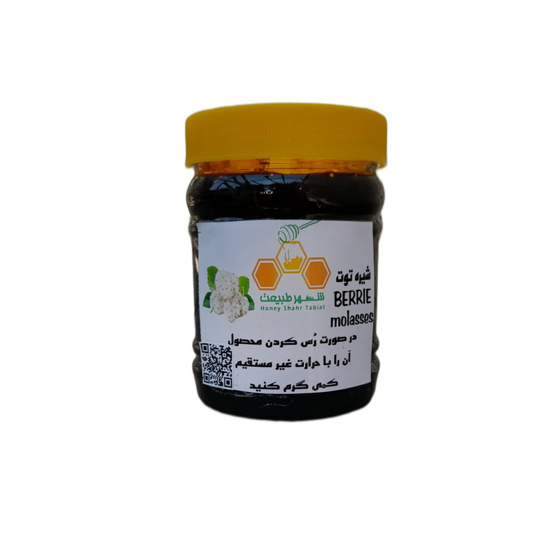 شیره توت محلی شهر طبیعت - 450 گرم