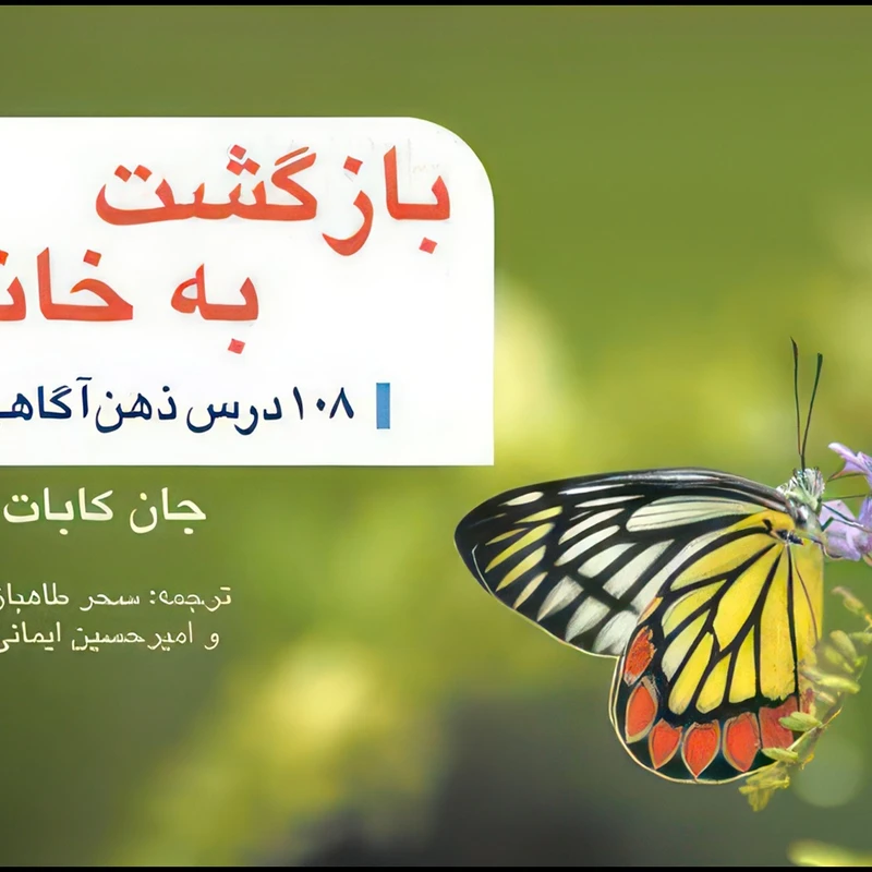 کتاب بازگشت به خانه 108 درس ذهن آگاهی اثر جان کابات زین انتشارات ارجمند