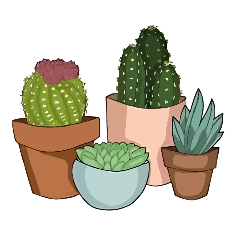 برچسب لپ تاپ پویا مارکت طرح کاکتوس کد 1743