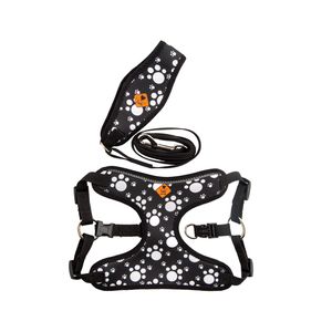 قلاده سگ تادو کد C108 سایز L