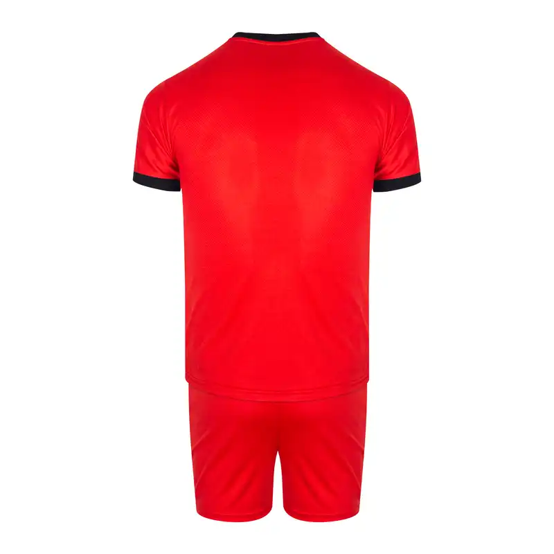 ست تی شرت آستین کوتاه و شلوارک ورزشی مردانه مدل P01