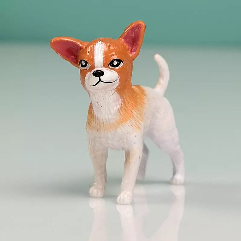 فیگور مدل سگ چیواوا طرح CHIHUAHUA