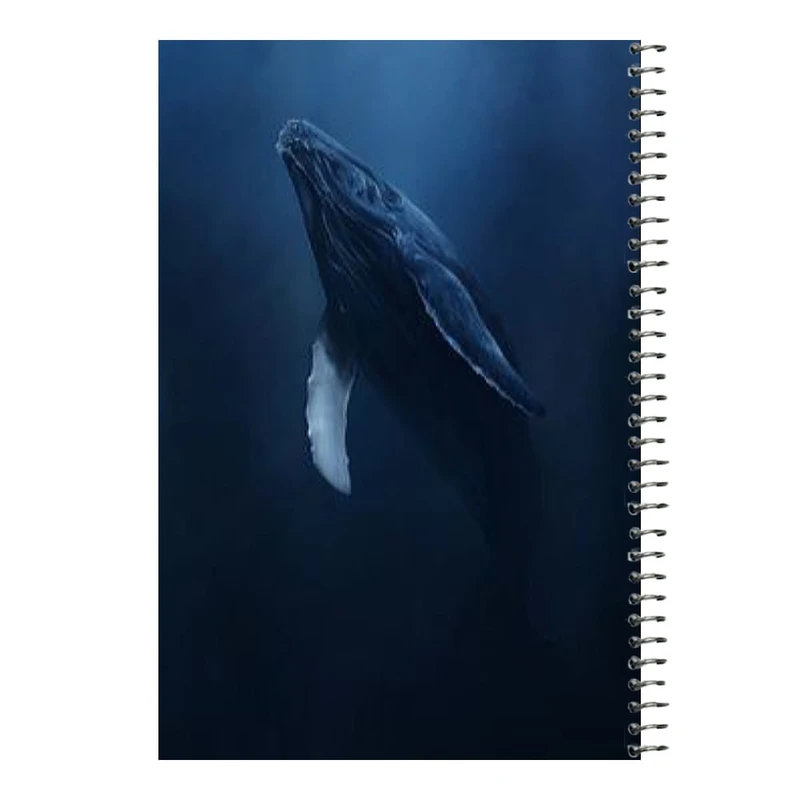 دفتر مشق 80 برگ اس جی مدل وال کد3 