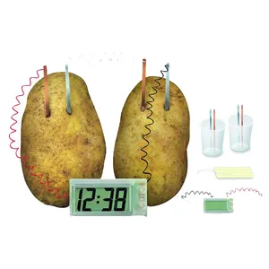  کیت آموزشی مدل POTATO