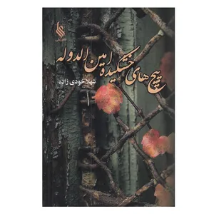 کتاب پيچ هاي خشكيده امين الدوله اثر شهلا خودي زاده نشر علی