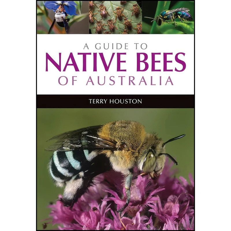 کتاب A Guide to Native Bees of Australia اثر Terry Houston انتشارات CSIRO Publishing