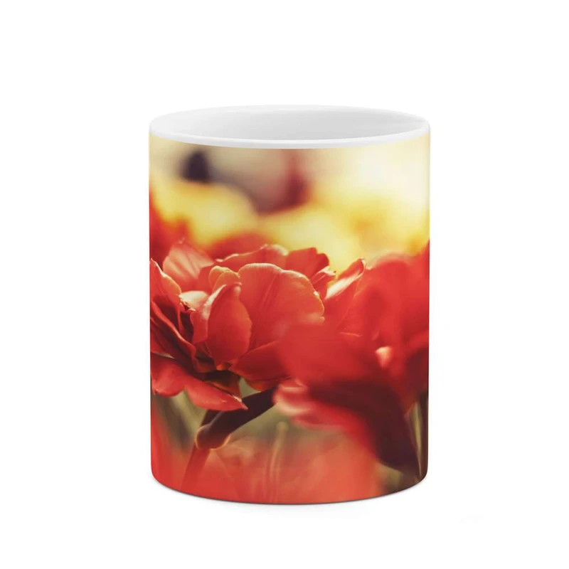 ماگ کاکتی مدل گل کد mgh15924