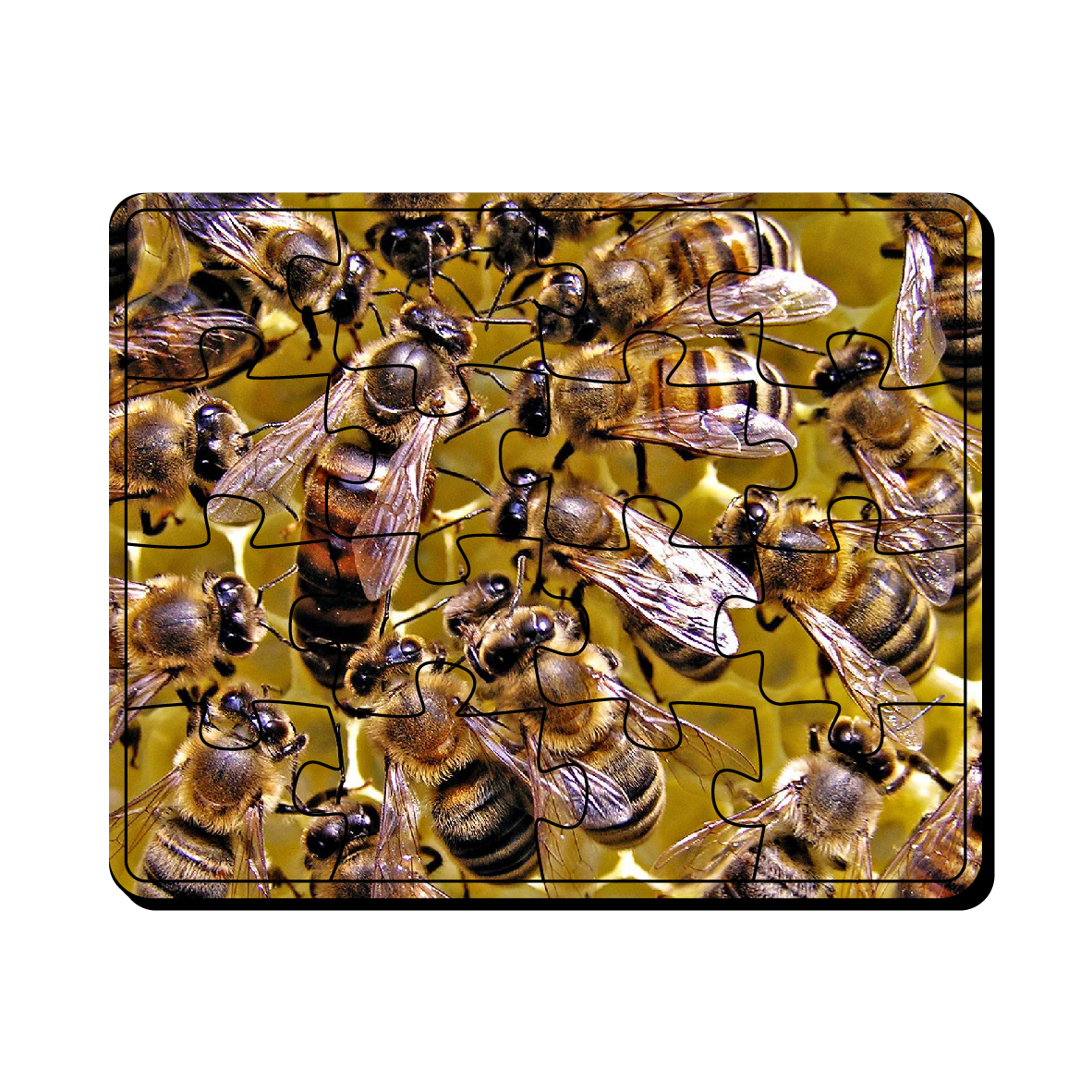 پازل 16 تکه مدل زنبور عسل و کندو