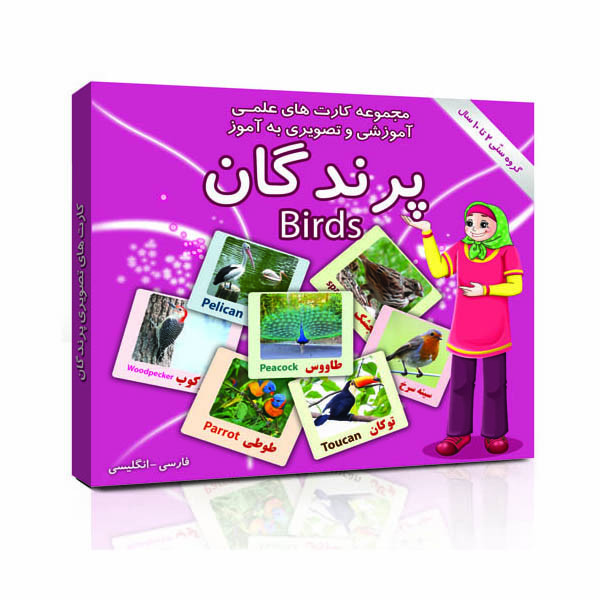 فلش کارت های علمی آموزشی و تصویری 2 تا 10 سال انتشارات امین آذر بسته 15 عددی
