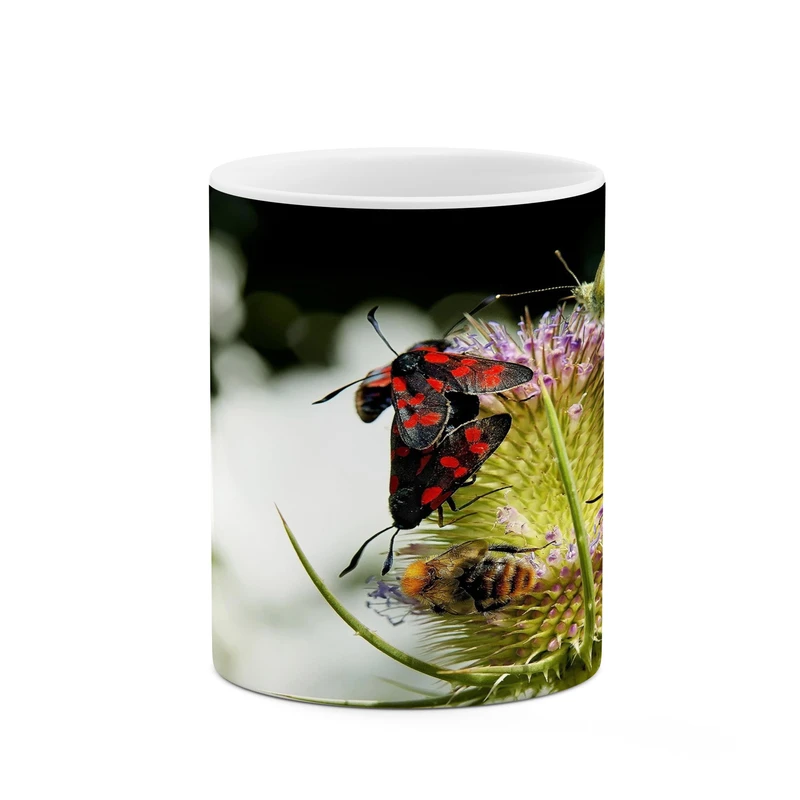 ماگ کاکتی مدل پروانه کد mgh17715