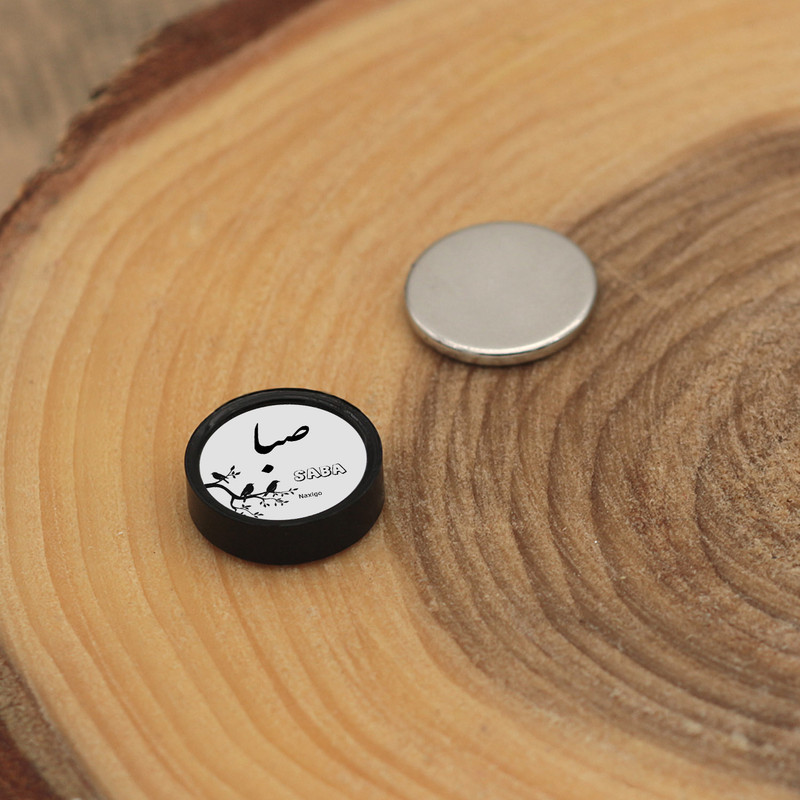 پیرسینگ گوش ناکسیگو مدل شب تاب طرح صبا کد PM6015 پیرسینگ گوش ناکسیگو مدل شب تاب طرح صبا کد PM6015