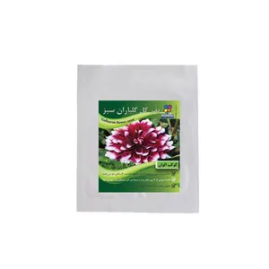 بذر گل کوکب شرکت گلباران سبز گیلان مدل BK بسته 20 عددی