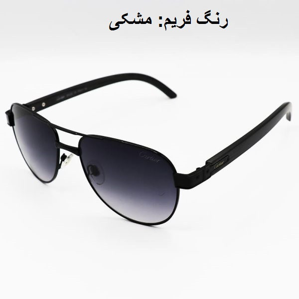 عینک آفتابی مدل CA121 - Fm