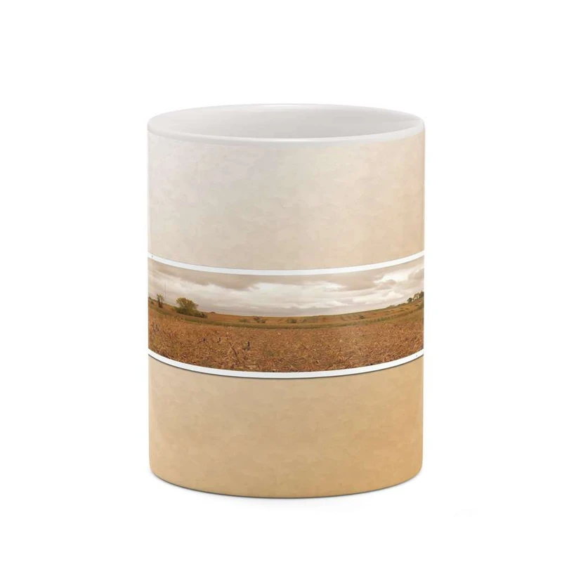 ماگ کاکتی مدل فانتزی کد mgh20899