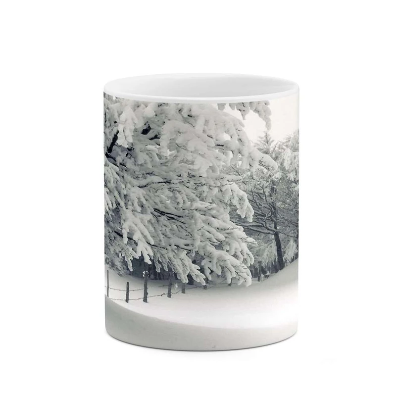 ماگ کاکتی مدل منظره برفی کد mgh15021